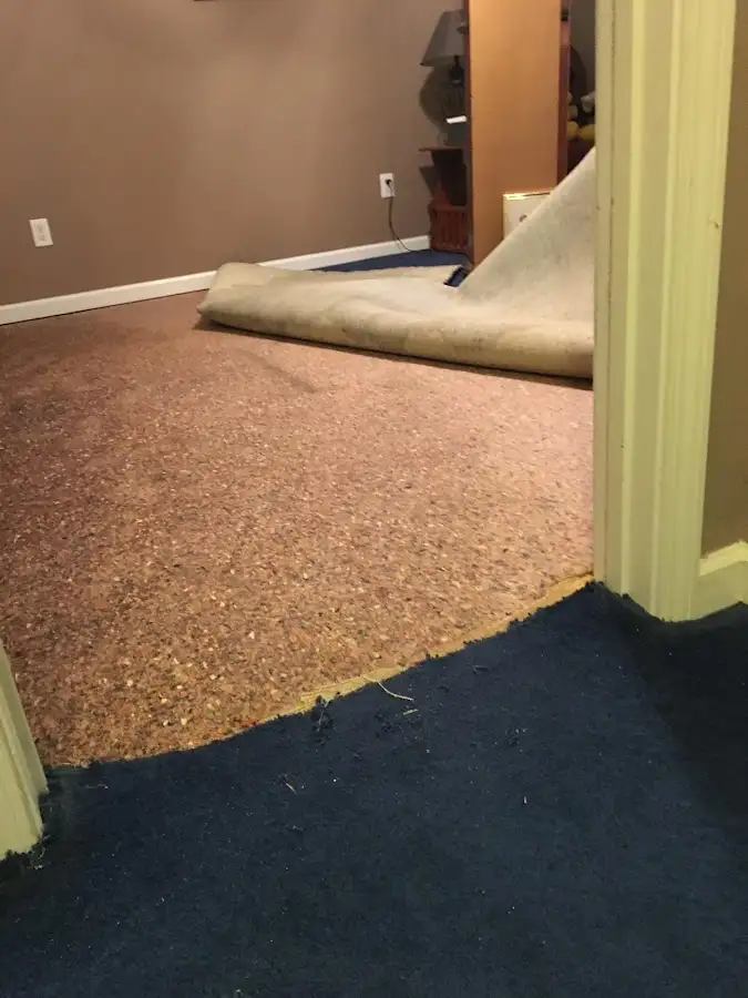 Carpet pad removal revealing water damage during Drying & Dehumidification in Tigard