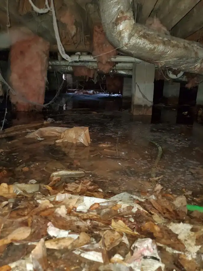 Crawl space flood assessment for Leak Detection & Repair in Tigard